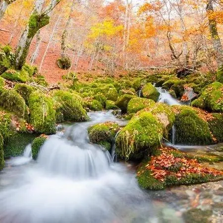 Сasa de vacaciones La Casina Del Rio *